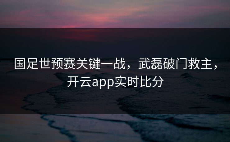 国足世预赛关键一战，武磊破门救主，开云app实时比分