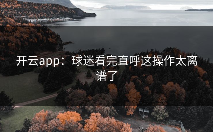 开云app：球迷看完直呼这操作太离谱了